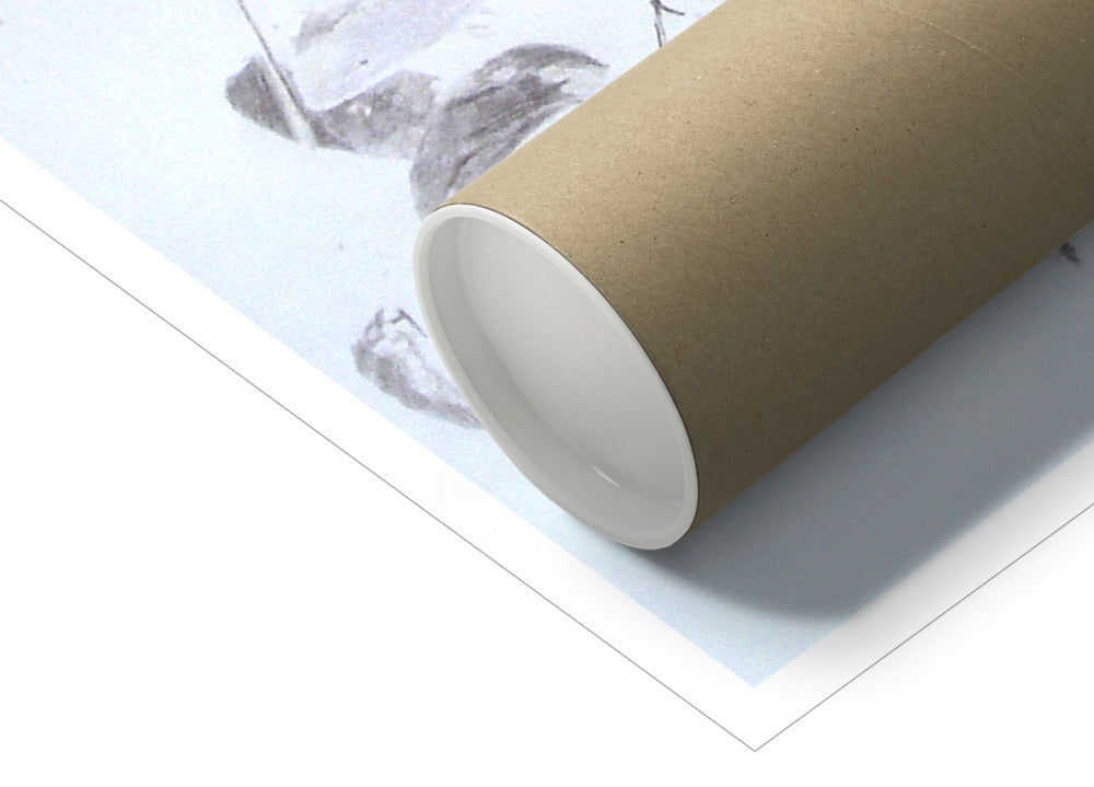 " Elephant tusk, trunk, tree" : an open edition print