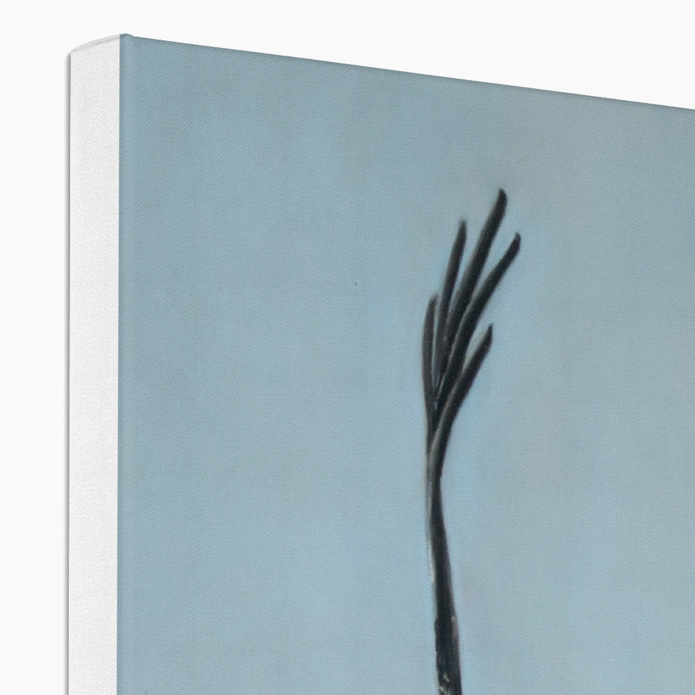 Red kite: A stretched canvas print of a high flying raptor