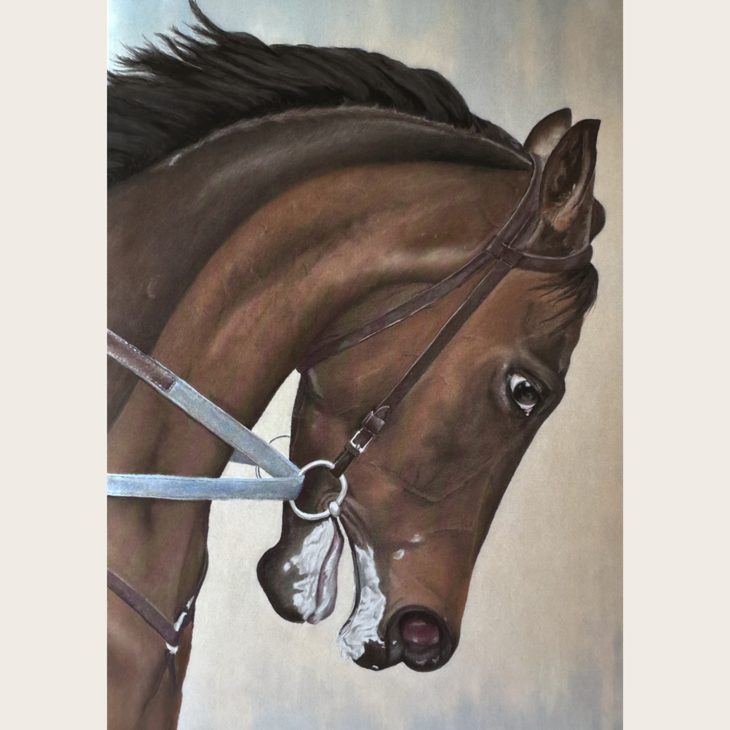 Morning Gallop: Greetings card