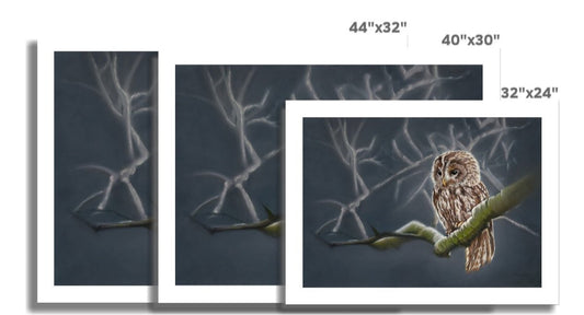 This rolled canvas print, in three different sizes, shows a tawny owl waiting patiently on a moonlit branch. Based on the original painting by Fiona Stansfield Fine Art.