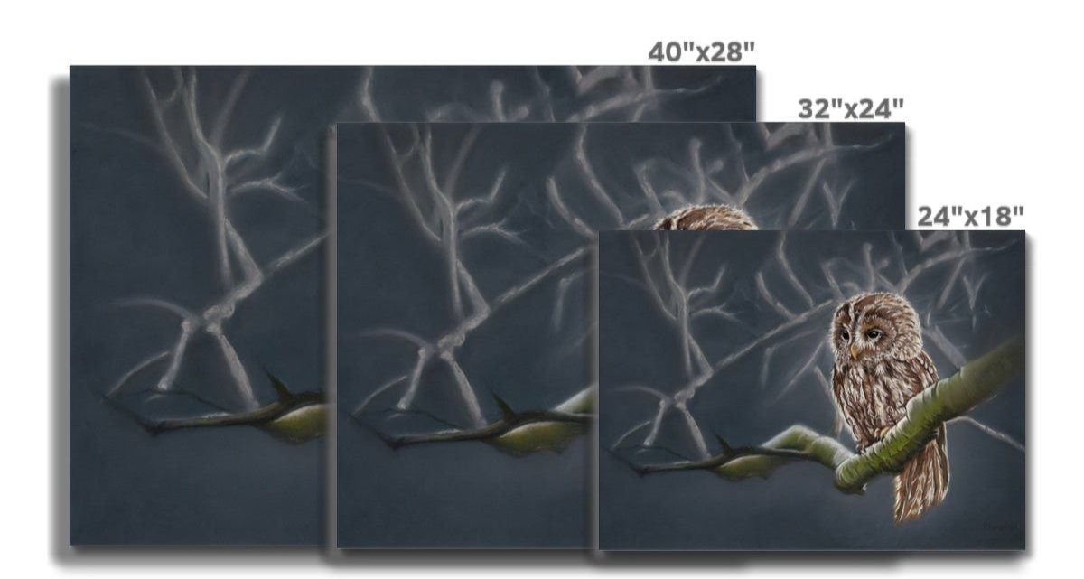 Moonlit tawny owl: waiting patiently on a stretch canvas print