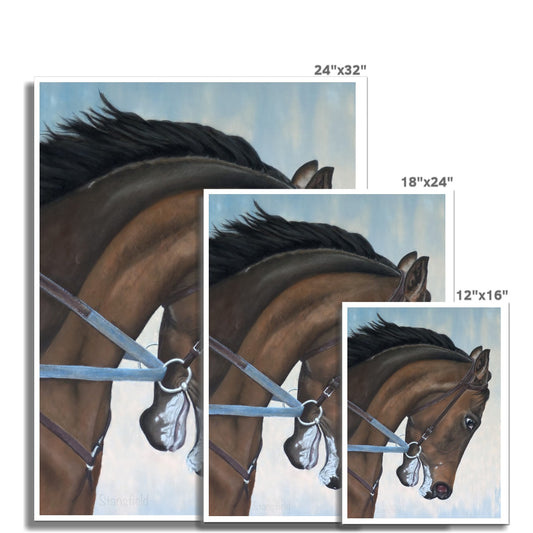 "Morning gallop" : an open edition print