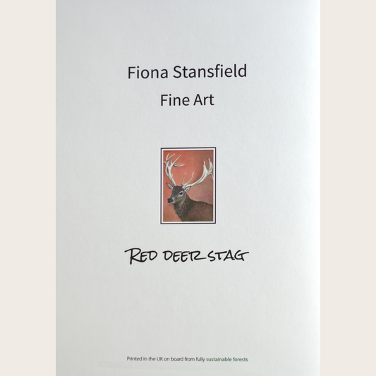 Red deer stag: Greetings card