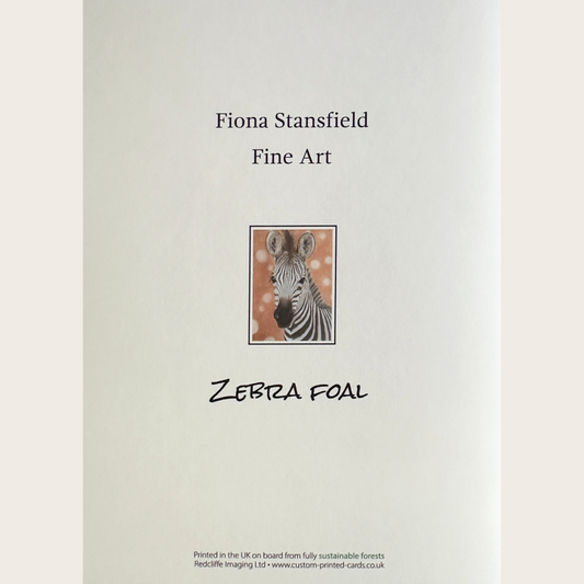 Zebra foal: Greetings card