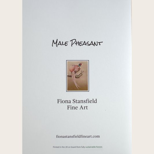 Male Pheasant: Greetings card