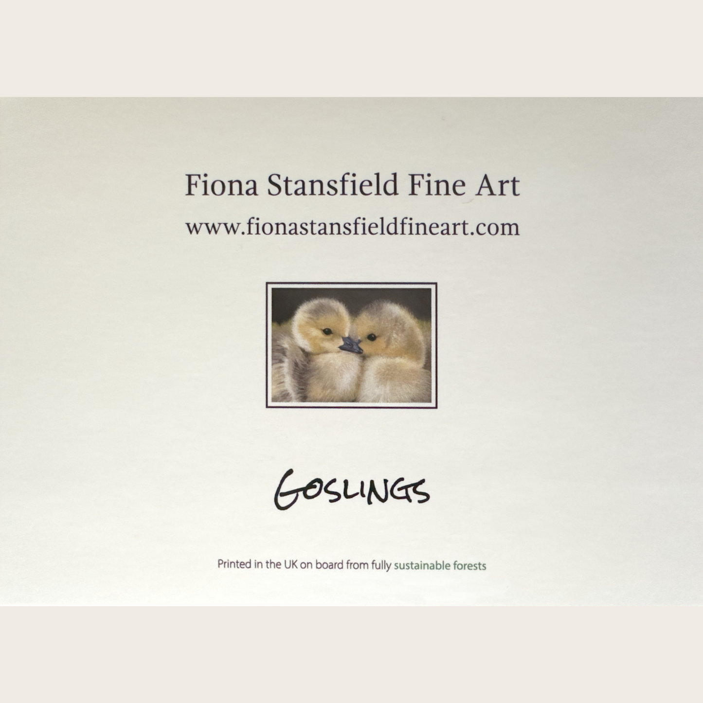 Goslings: Greetings card