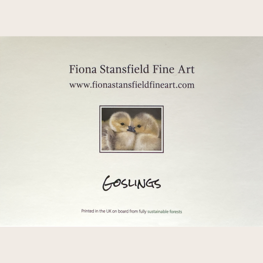 Goslings: Greetings card