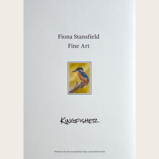 Kingfisher - Greetings card