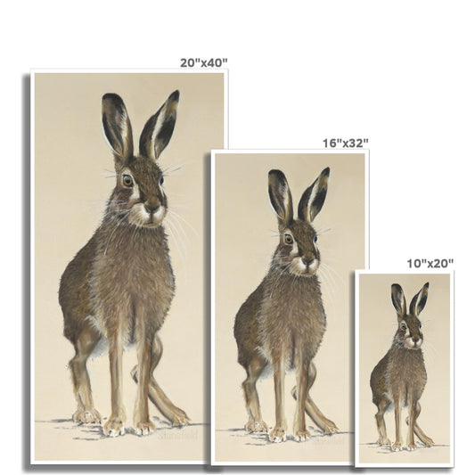 "March hare" : an open edition print