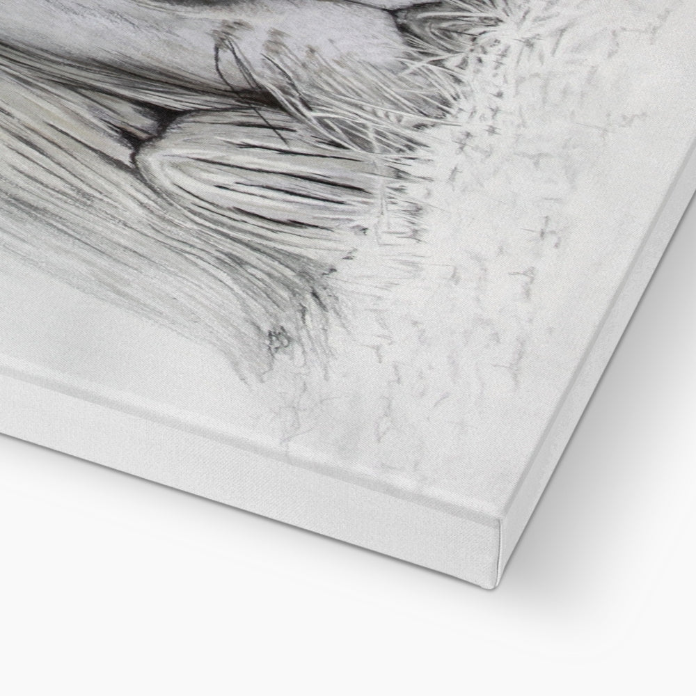 Lion - I see you: a stretched canvas print of a lazy lion painting