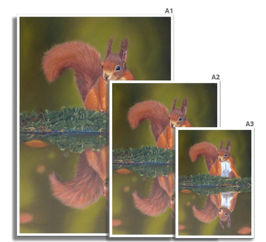 "On Reflection" : an open edition print