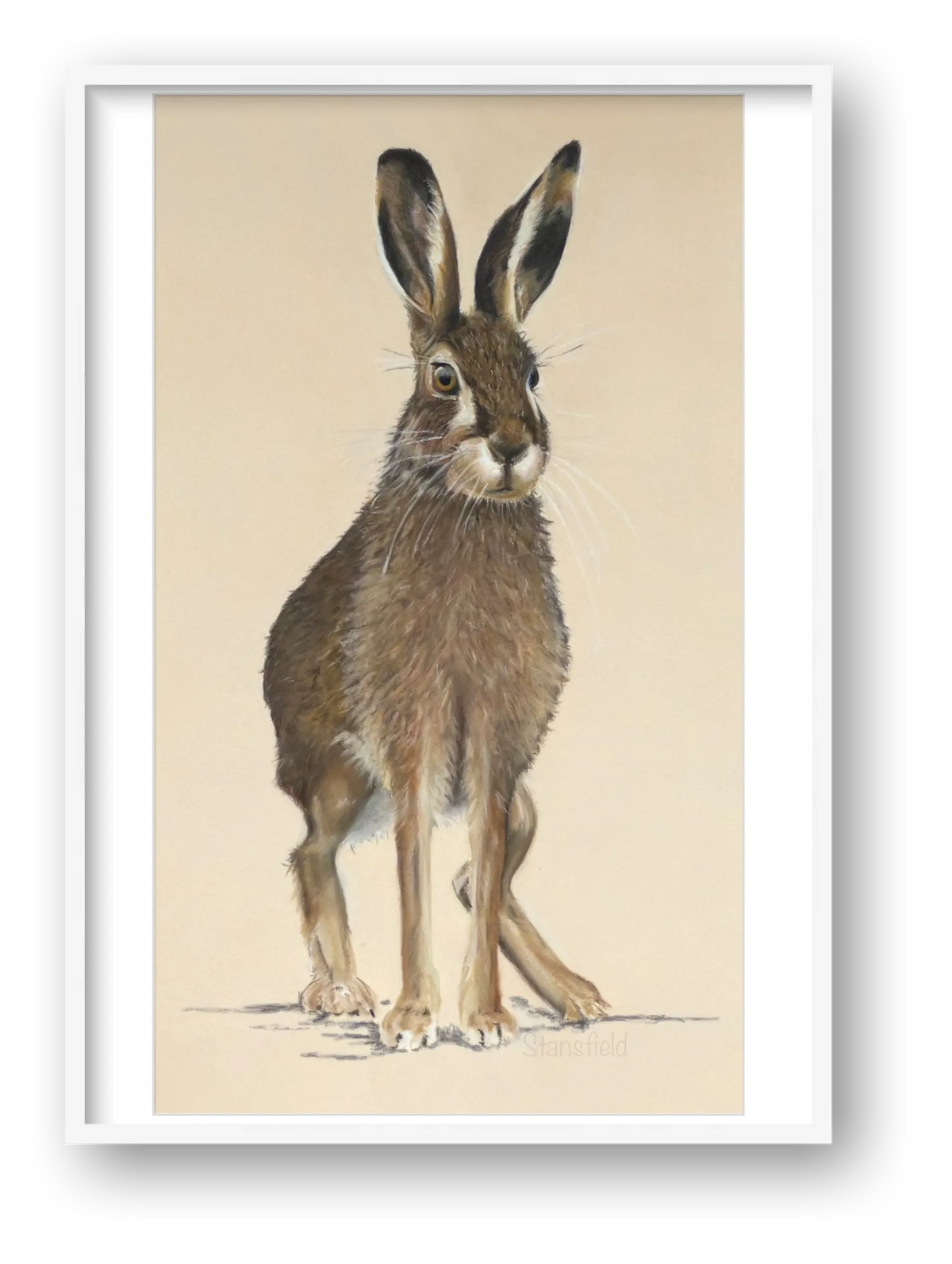 6 m hare increased background with tight dig sig — framed