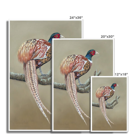 "Male pheasant" : an open edition print