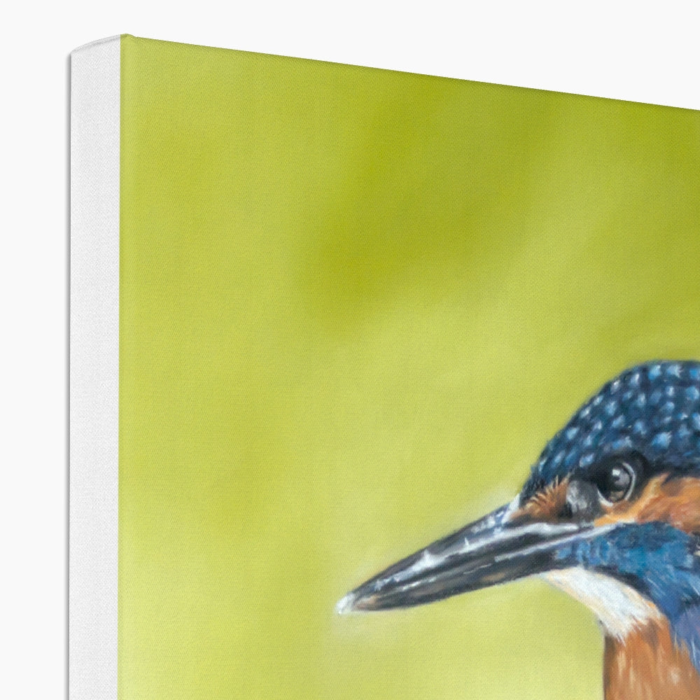 Kingfisher: A stretched canvas print of a colourful British bird