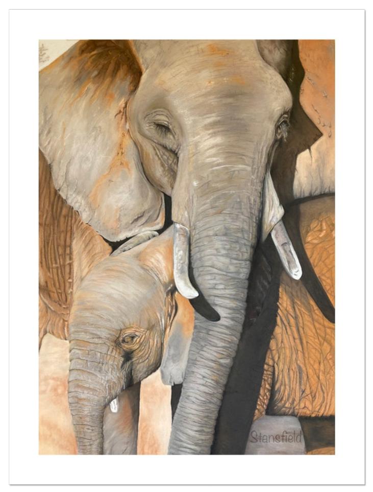 An rolled canvas print of an elephant cow and calf based on the original pastel painting by Fiona Stansfield Fine Art.