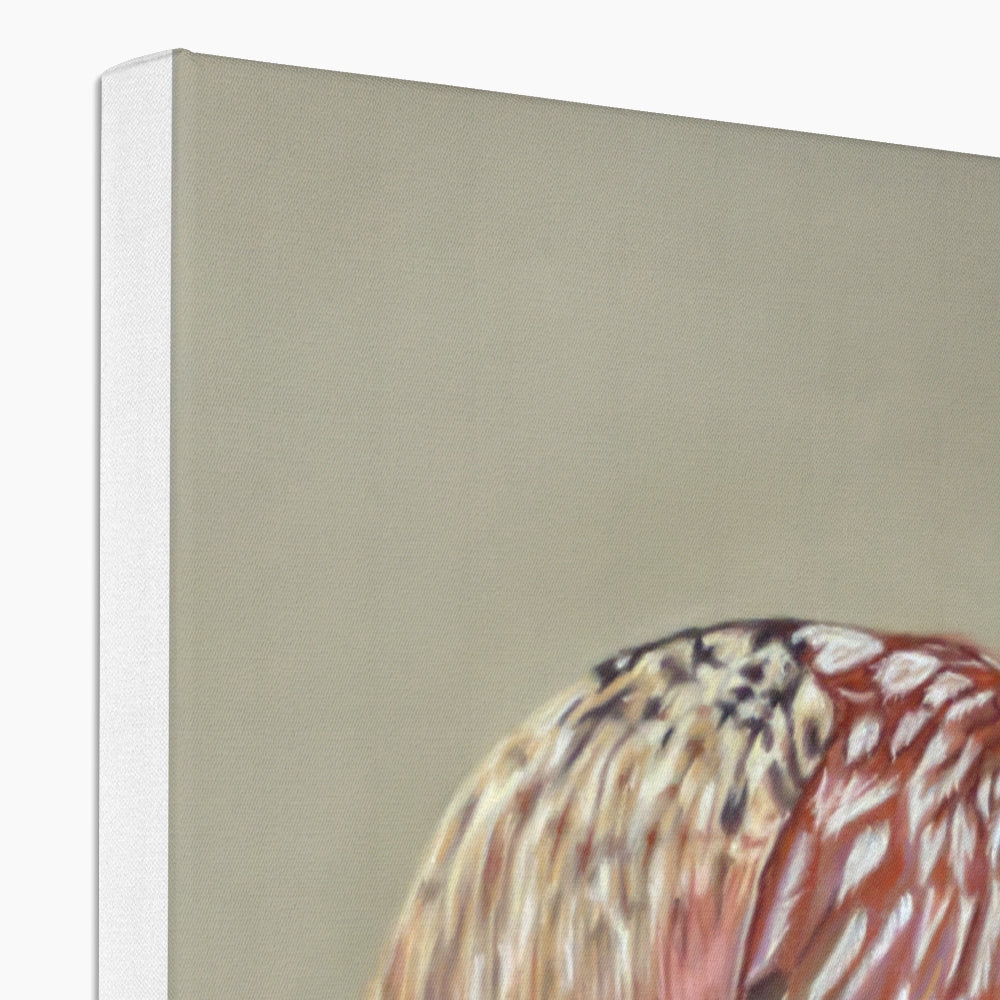 Male pheasant: a stretched canvas print of this gorgeously colourful bird