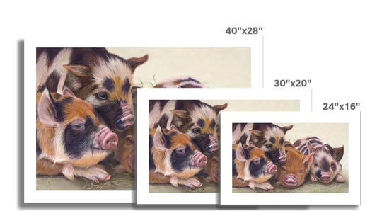 Four little piggies: A rolled canvas print of four cute piglets
