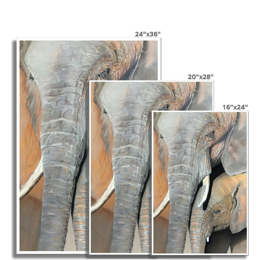 "Elephant cow and calf" : an open edition print