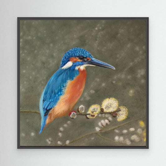 The fisher king (USA) stretched canvas framed