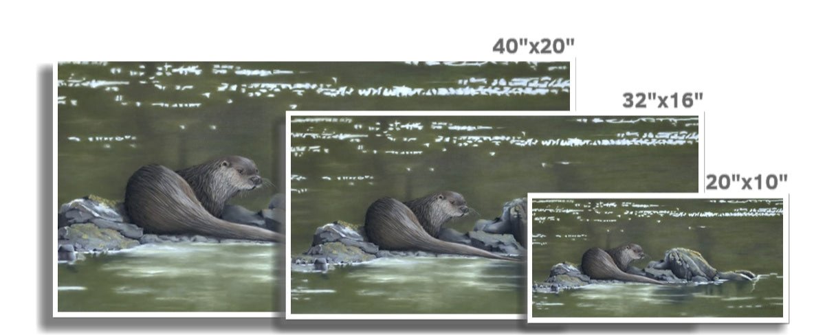 Bright water: an open edition print of an otter on the west coast of Scotland
