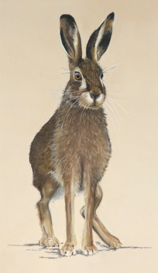 Illustration of a brown hare on a beige background