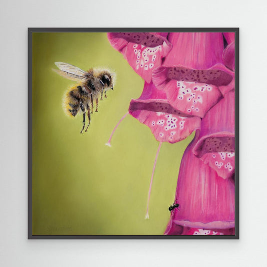 Bumble bee approaching a bright pink foxglove