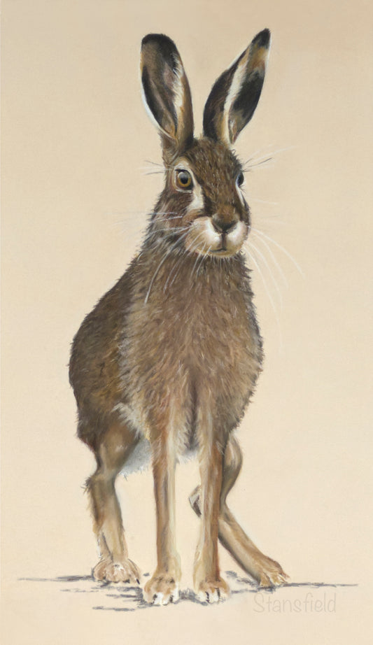 Illustration of a brown hare on a beige background