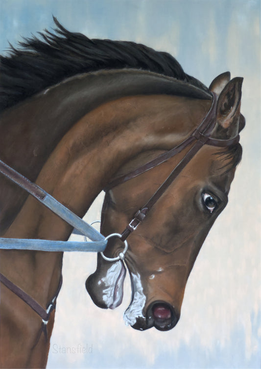 Close-up of a brown horse with a bridle against a light blue background