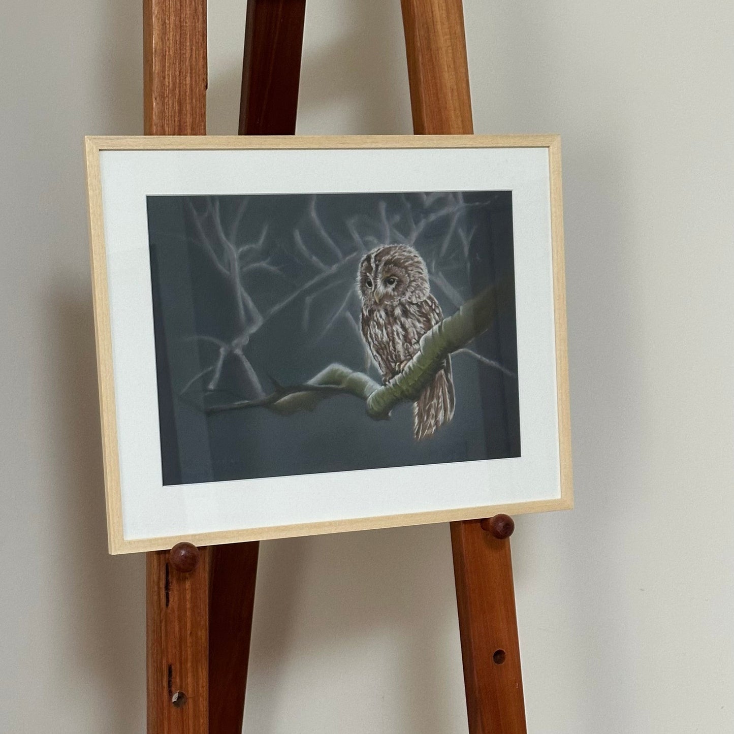 "Moonlit tawny owl" : an original pastel painting