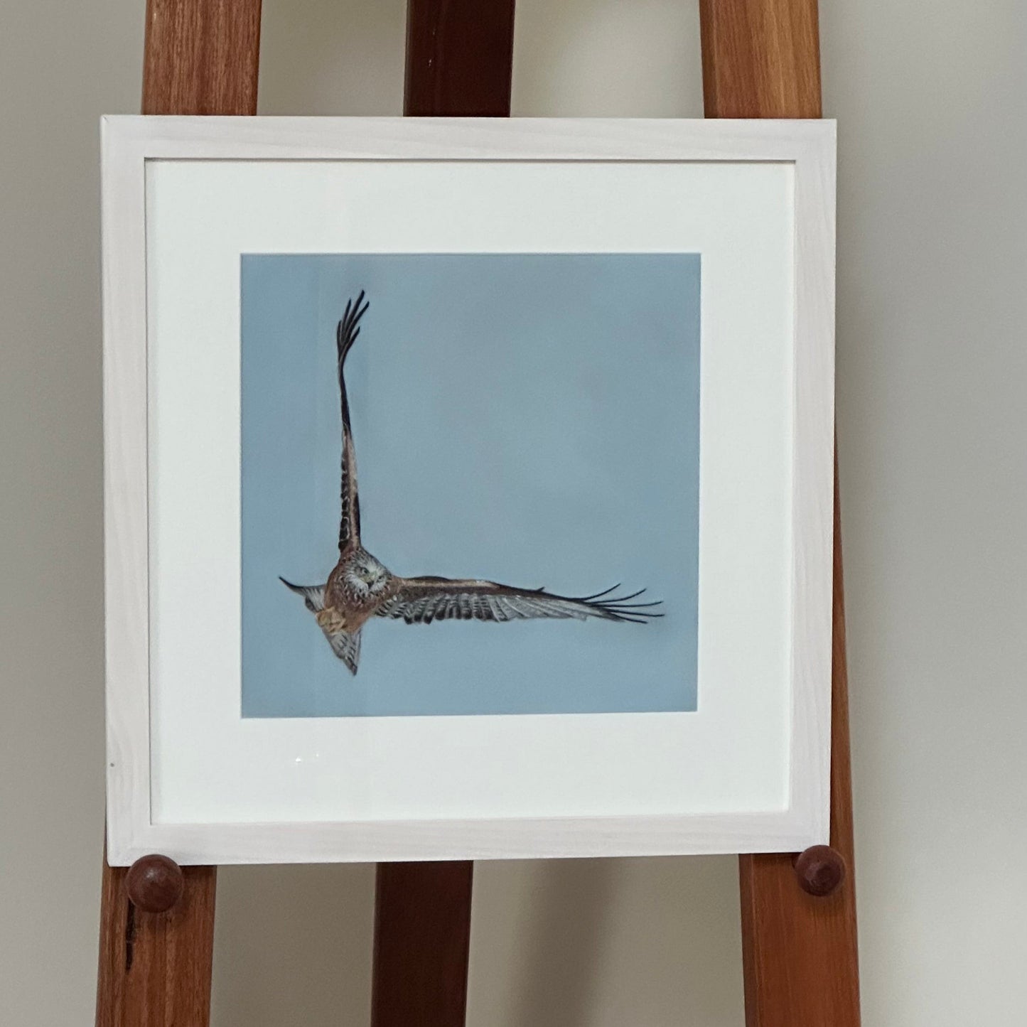 "Red Kite" : an original pastel painting