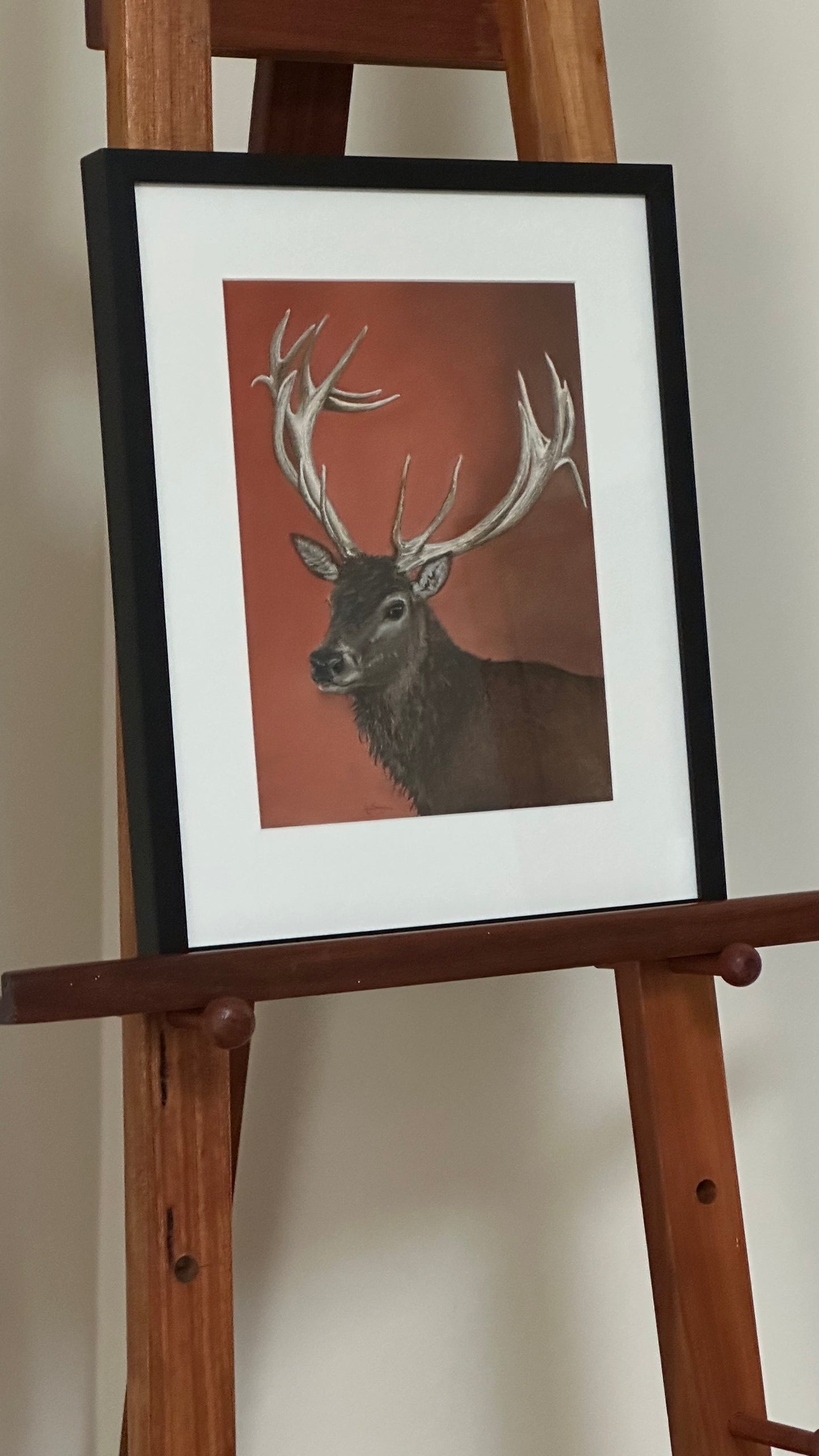 "Red deer stag": an original pastel painting