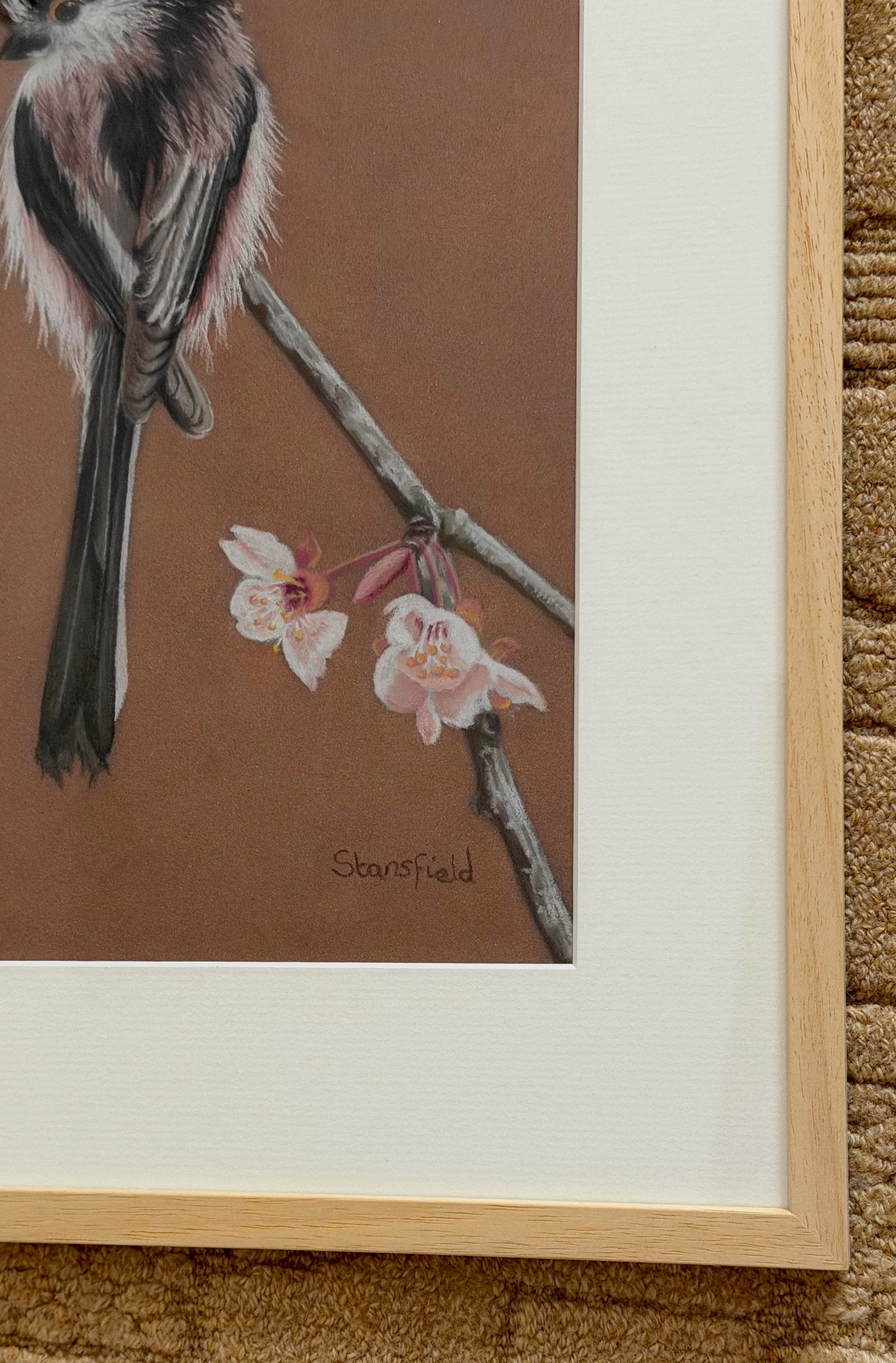 Long tailed tit - blossom: an original pastel painting