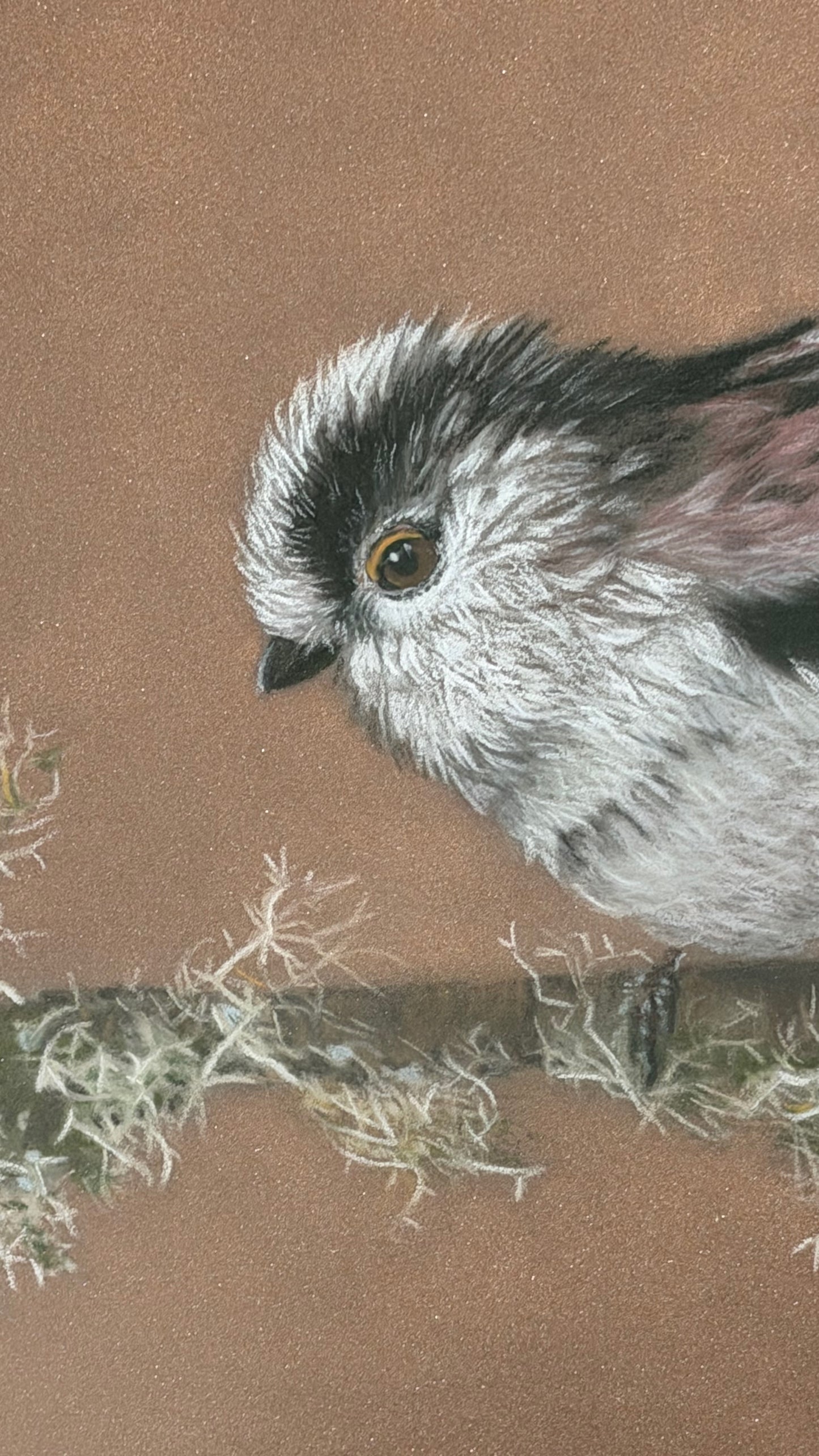 Long tailed tit - lichen: an original pastel painting