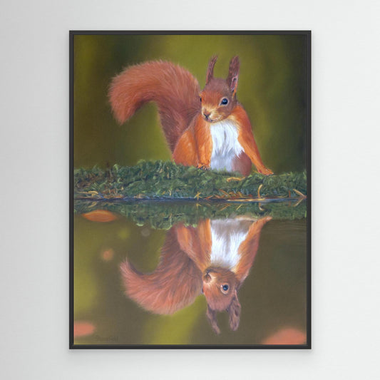 Red squirrel and reflection on a large canvas print