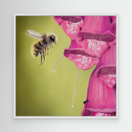 Bee approaching a foxglove plant