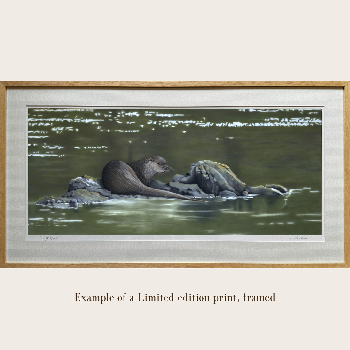 Bright Water: a limited edition print of a west coast of Scotland otter