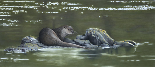 River otter on a rock in a body of water