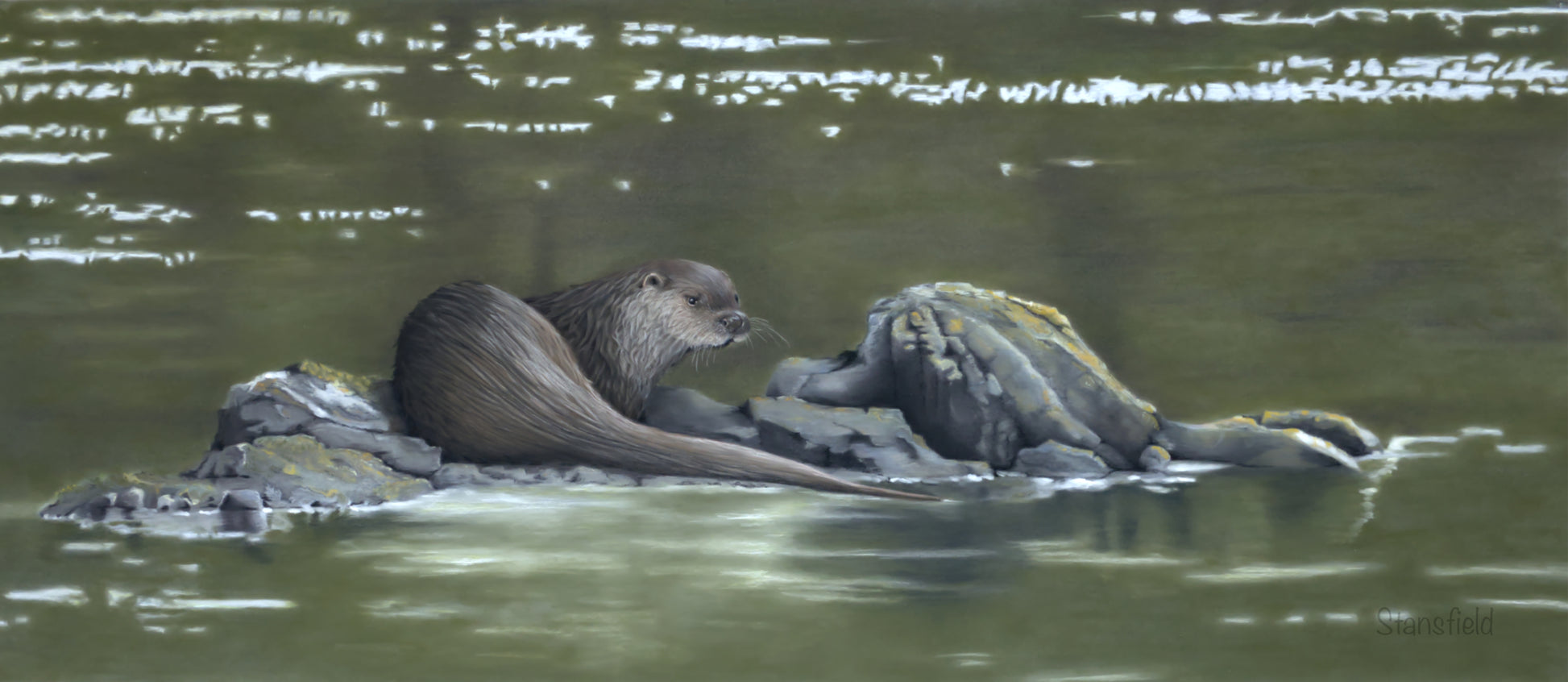River otter on a rock in a body of water