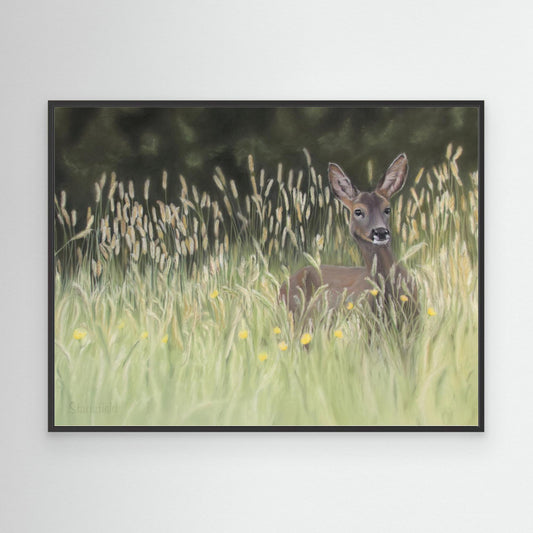 Wild deer in long grass on a large canvas print that is framed