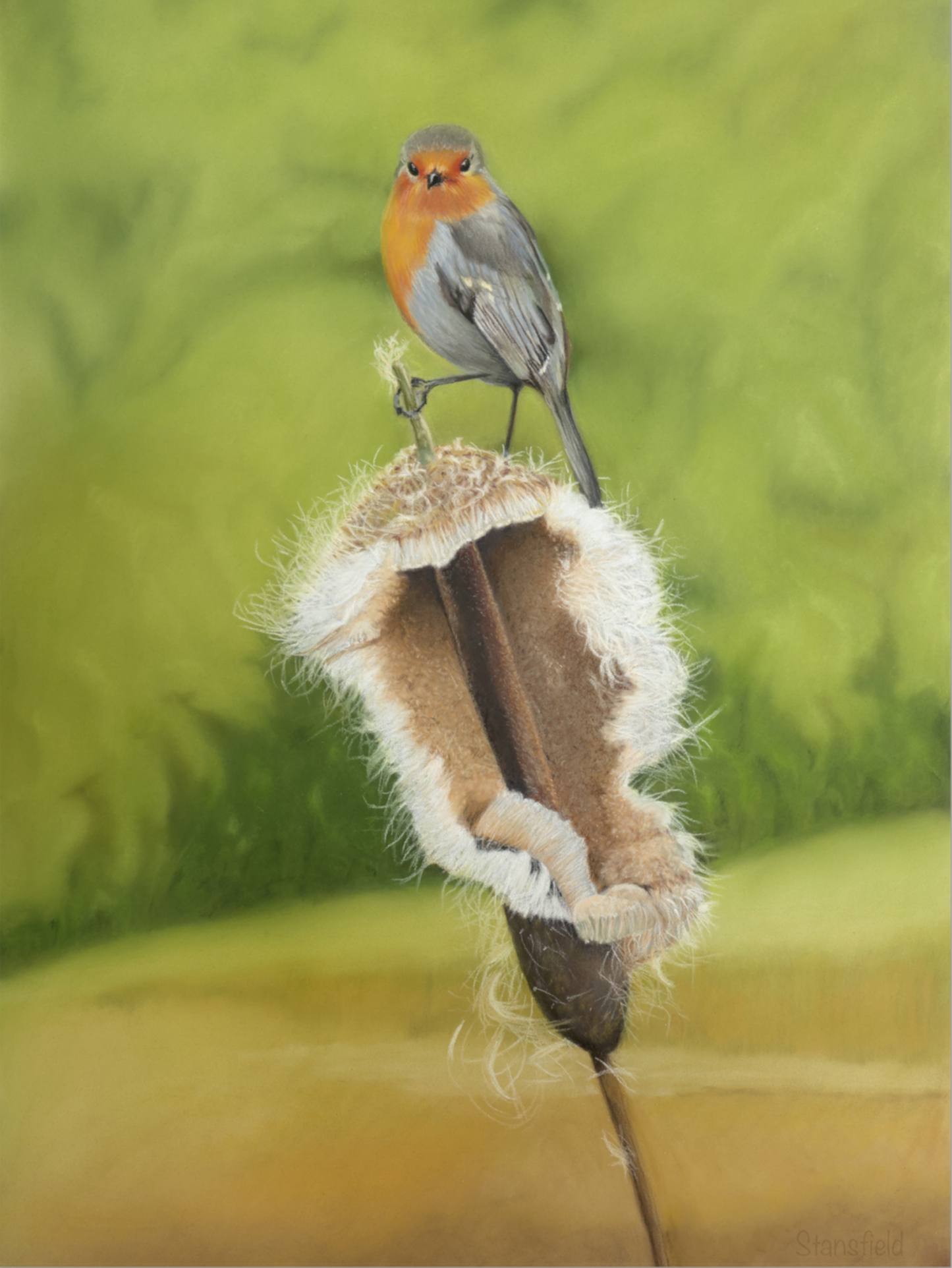 Bird perched on a feather with a green blurred background