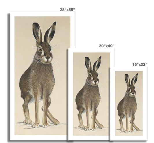 March hare: a rolled canvas of a European or brown hare