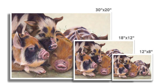 "Four little piggies" : an open edition print