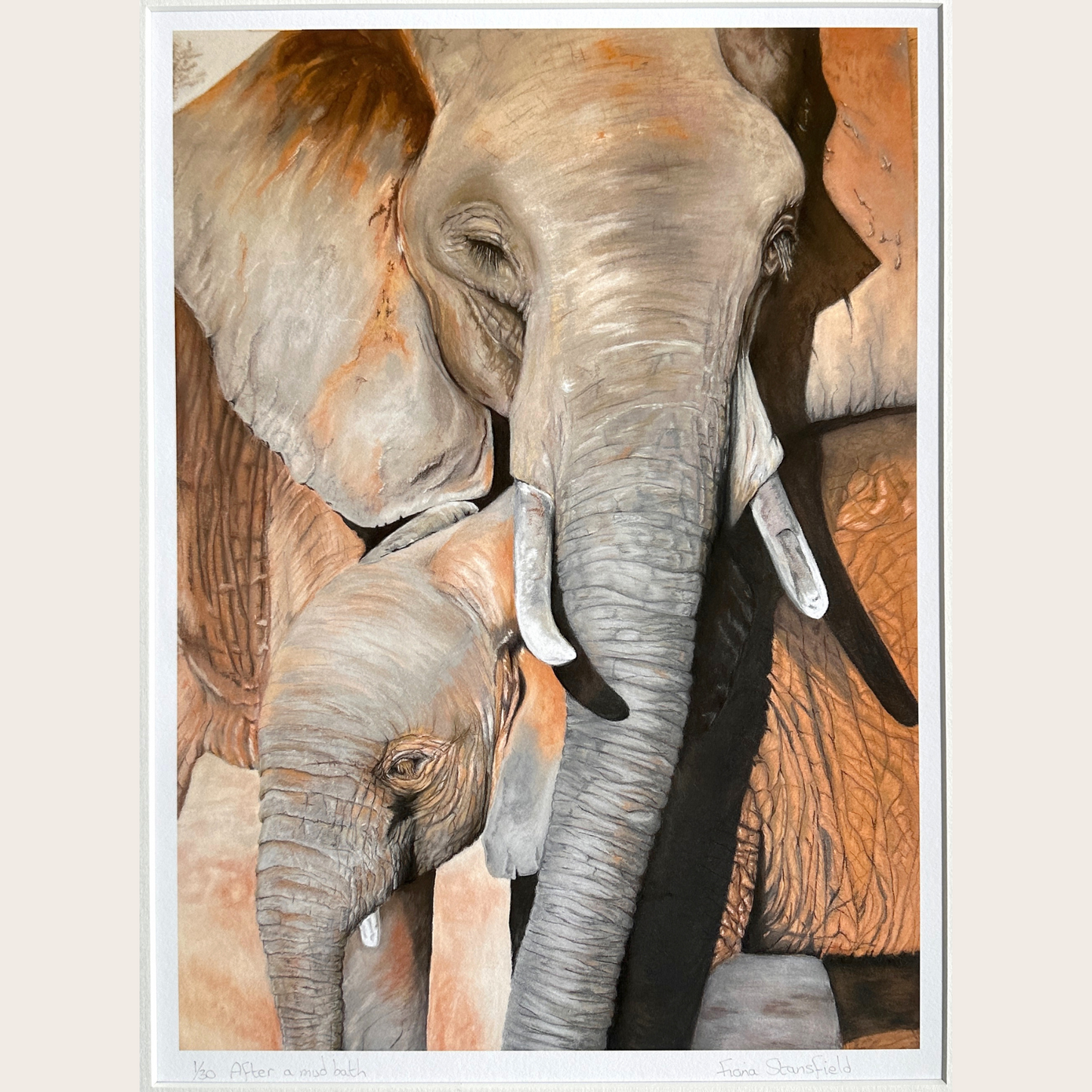 A limited edition print of an elephant cow and calf pictured after taking a red mud bath in Zimbabwe. Based on an original pastel painting by Fiona Stansfield.