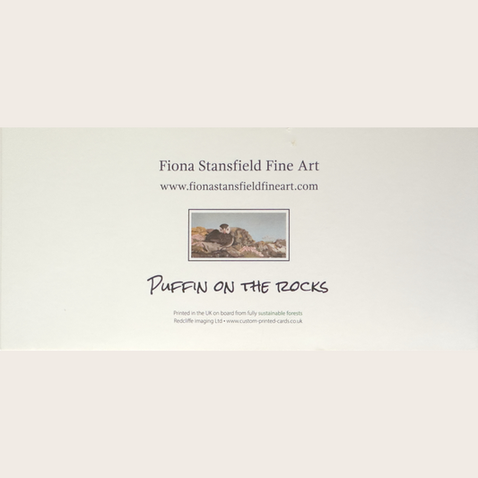 Puffin on the Rocks - Greetings card