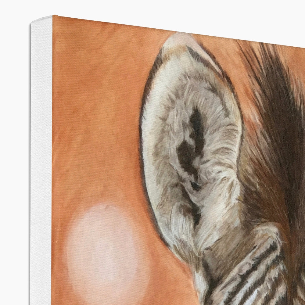 Zebra foal: a stretched canvas print of a curious equid