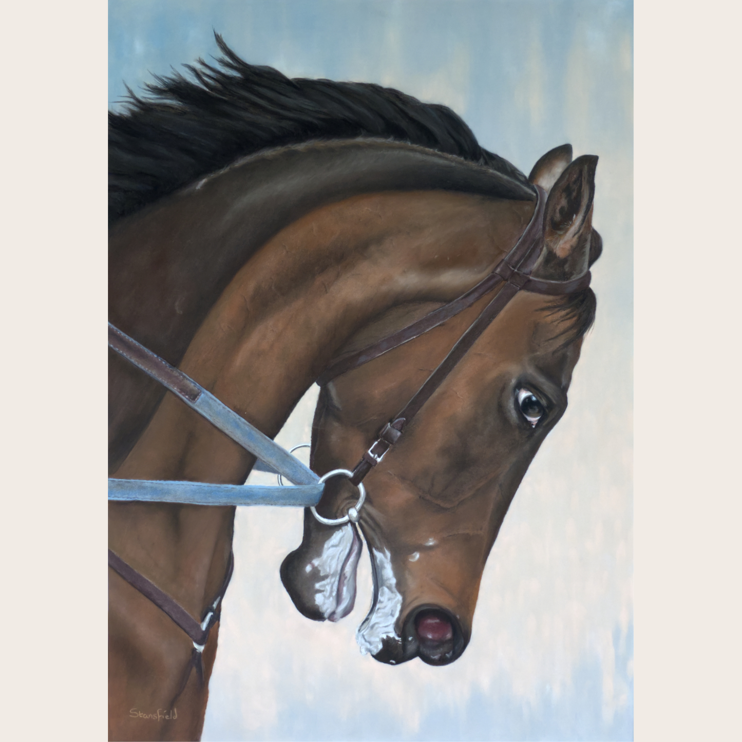 A galloping horse painting detailing the head and neck of a thoroughbred, created in pastels by Fiona Stansfield Fine Art