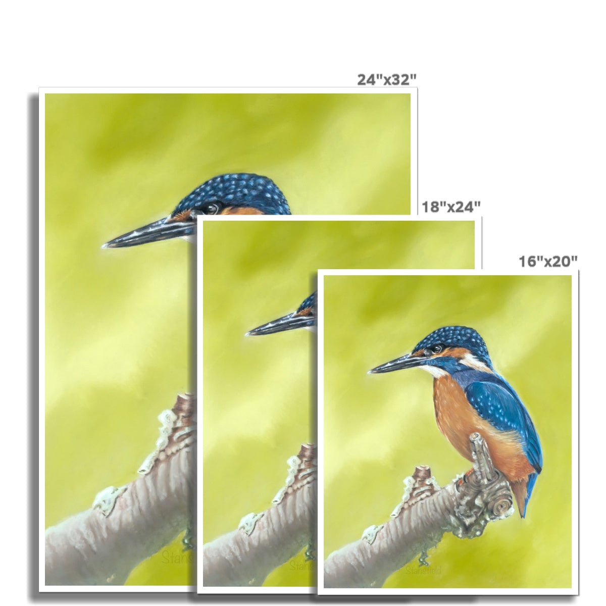Kingfisher: an open edition print of a colourful British bird