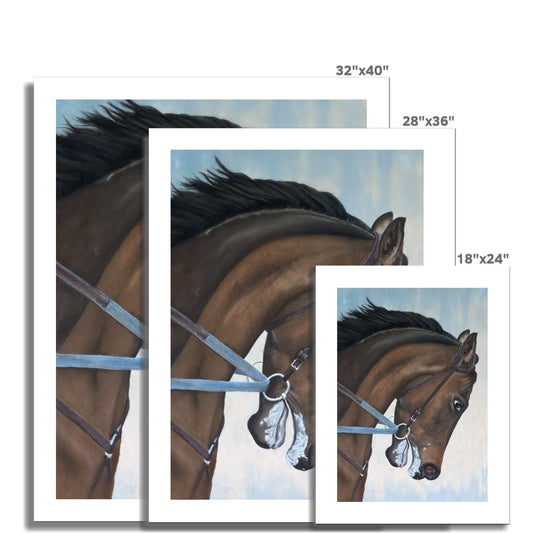 Morning gallop: Rolled canvas of a thoroughbred in training