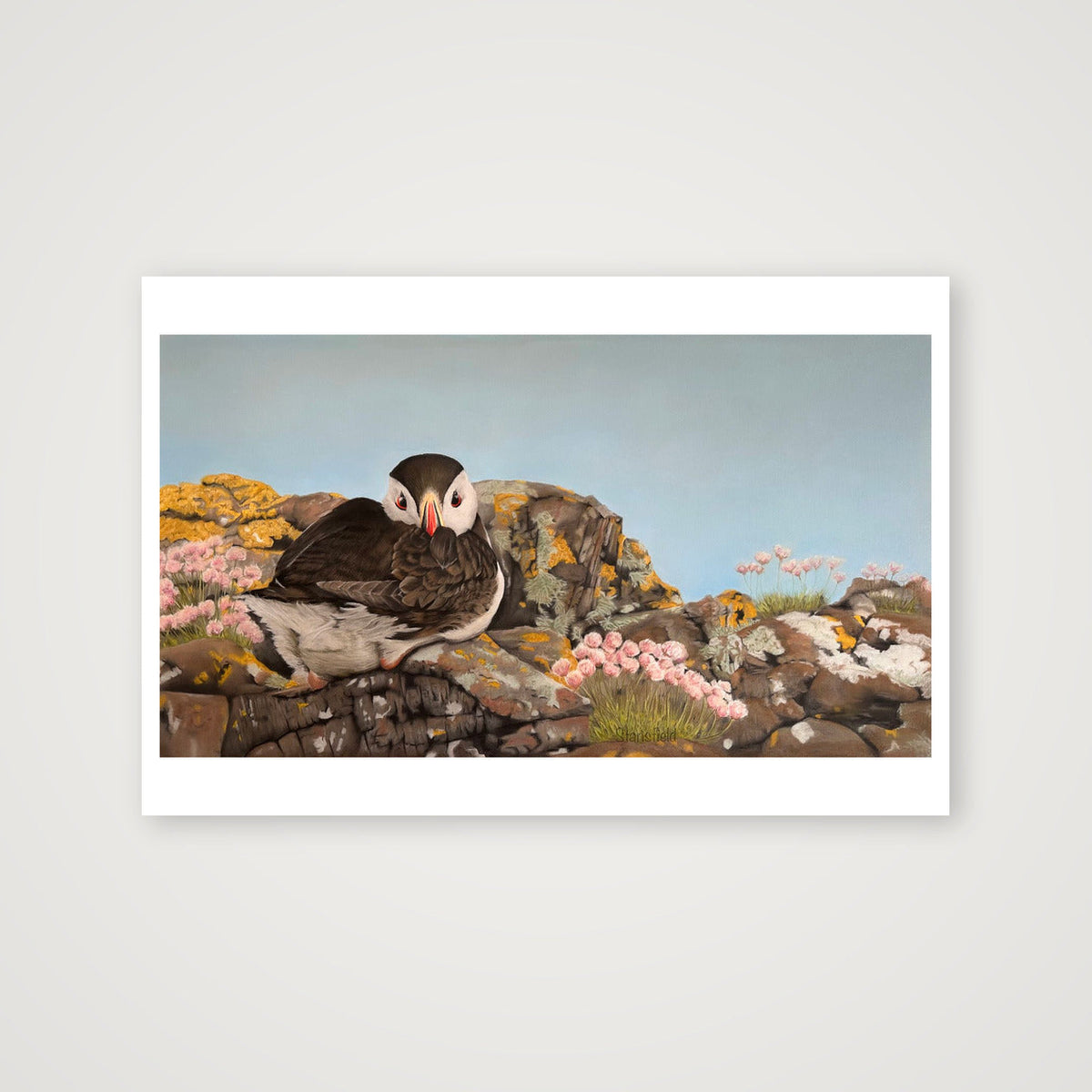Puffin on the rocks - an open edition print — 45×30cm, 18×12" Print only