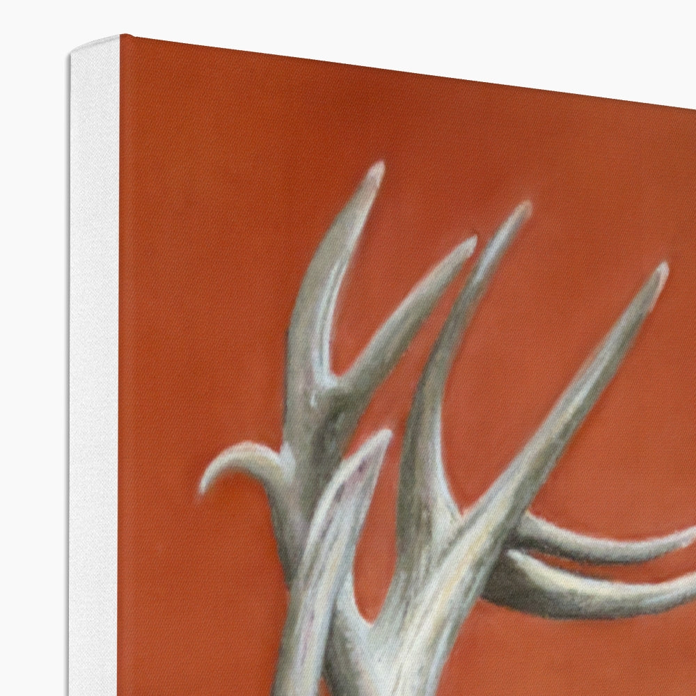 Red deer stag: a stretched canvas print of a majestic red stag deer